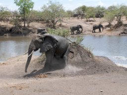 Western_Corridor2009-31